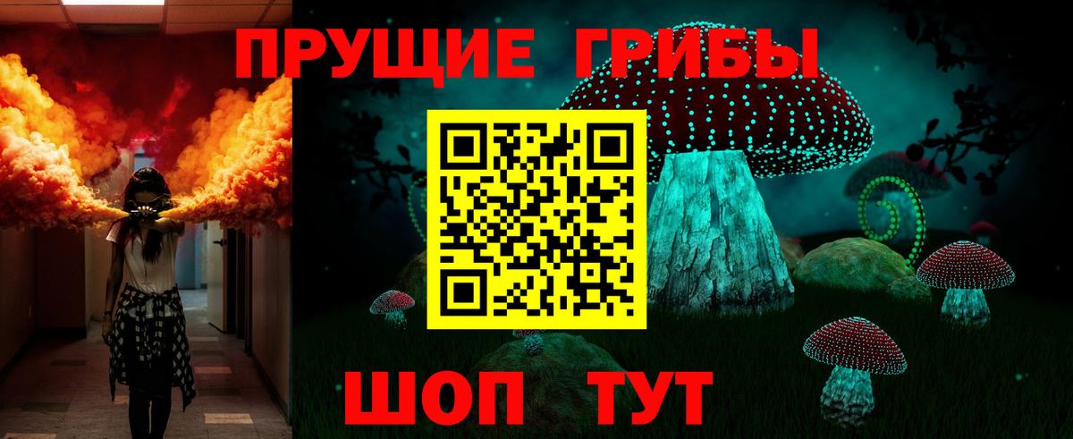 Псилоцибиновые грибы Cubensis Кириши