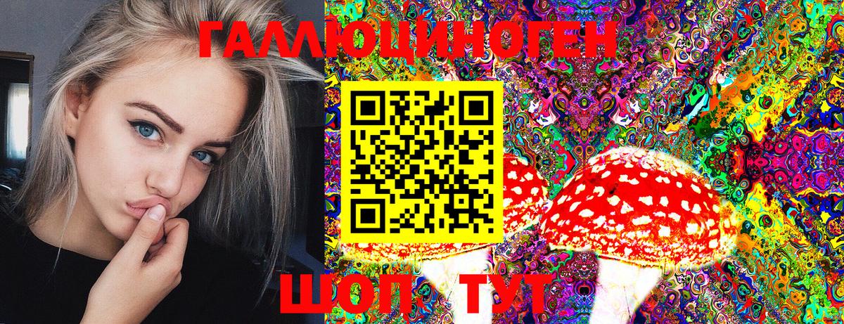 Кириши  Псилоцибиновые грибы Psilocybe  Вход с VPN 